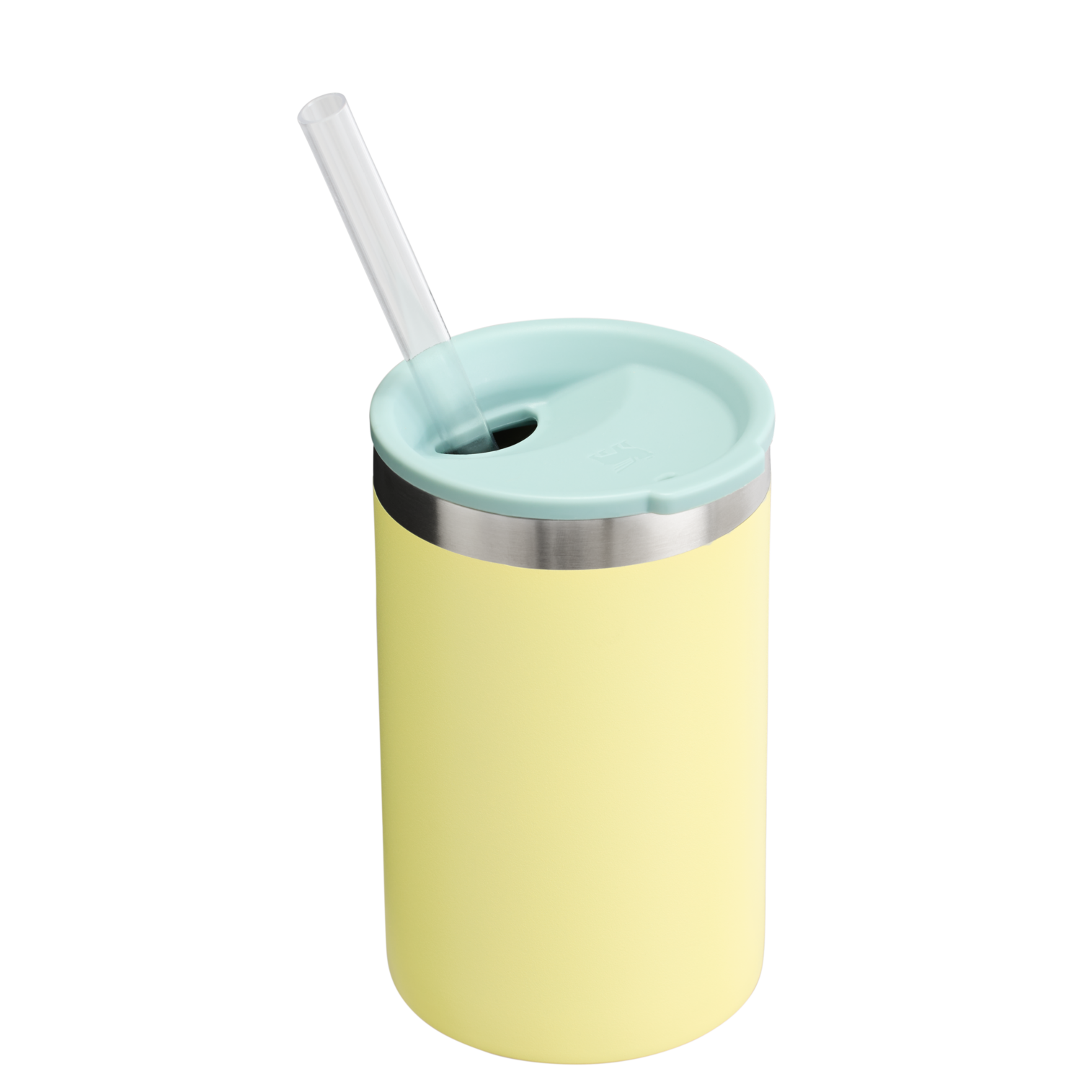 Stanley The Everyday Can Cooler Cup | 10 OZ